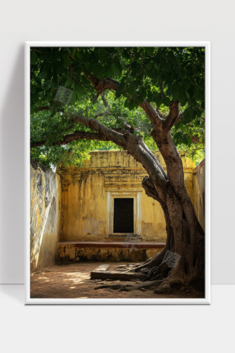 古老庭院里的参天古树静谧岁月时光