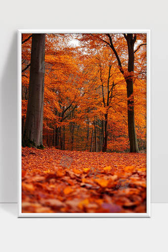 秋日森林落叶满地金黄色调宁静自然美景