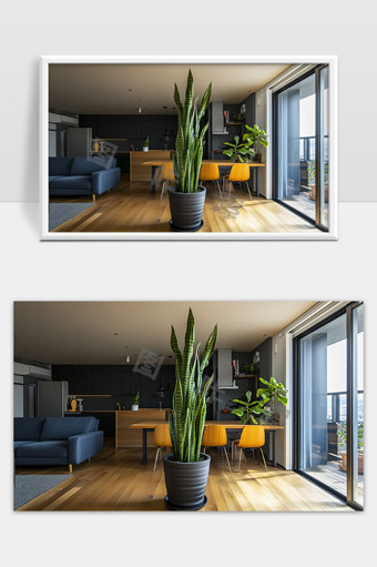 现代简约风格客厅大叶植物装饰温馨舒适家庭空间