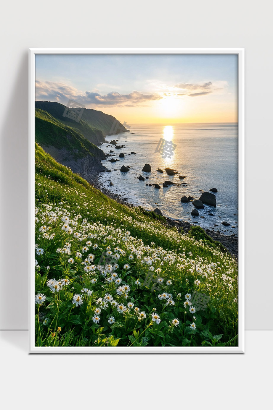 夕阳下海岸边盛开的野花与壮丽海景