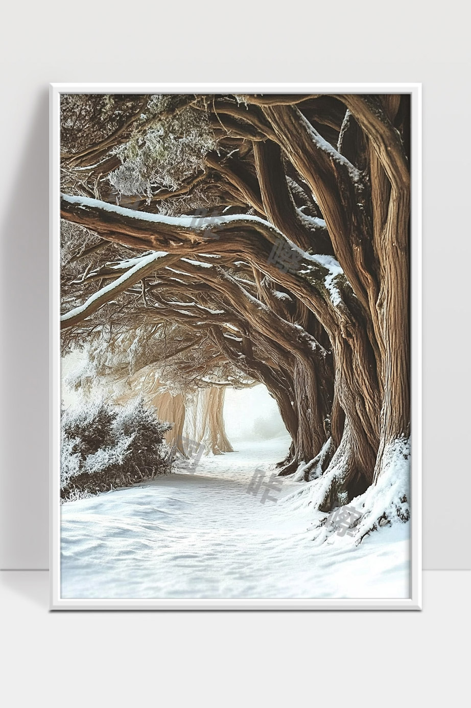 银装素裹古树枝干缠绕形成雪中小径