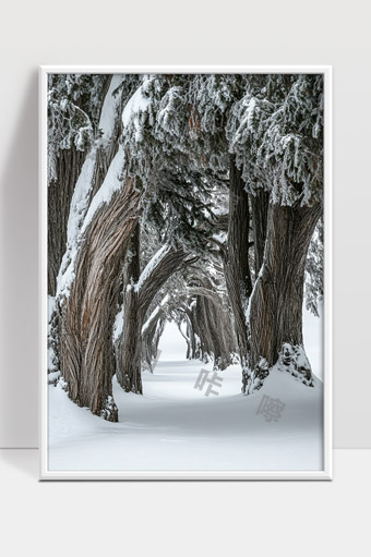 冬季雪覆古树林中幽静深远林间小径风景