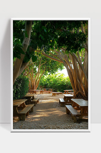 阳光洒落下的大树阴影中的静谧休闲长廊