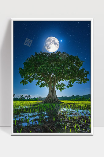 月光映照下的孤独大树与田野夜景