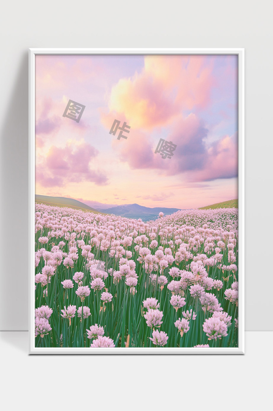 广阔山丘上粉色花海与温柔晚霞完美交融景色