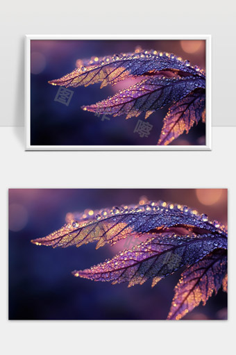 紫色晨露叶片的梦幻光影自然之美