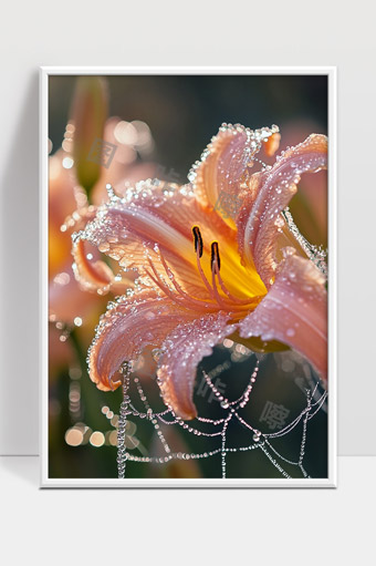 清晨露珠映照下的绽放百合花朵美景