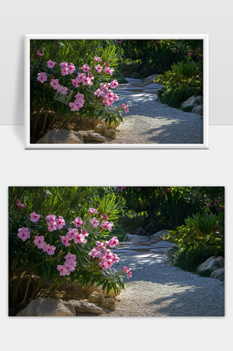 美丽花园中盛开的粉色花朵和宁静小径景观