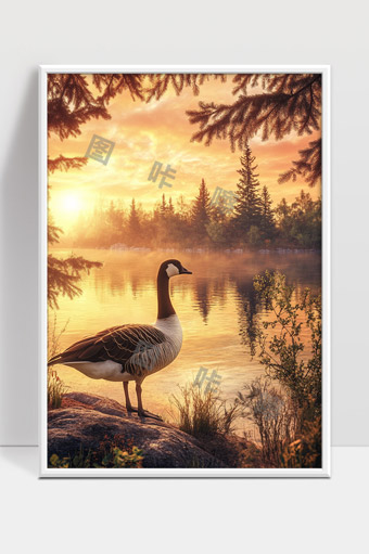 清晨湖畔美景野鸭伴夕阳映照宁静自然