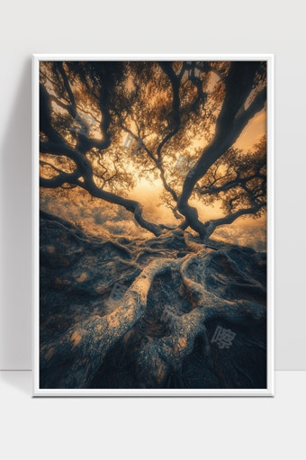 光影交织下古树根系蜿蜒延伸的神秘森林景象