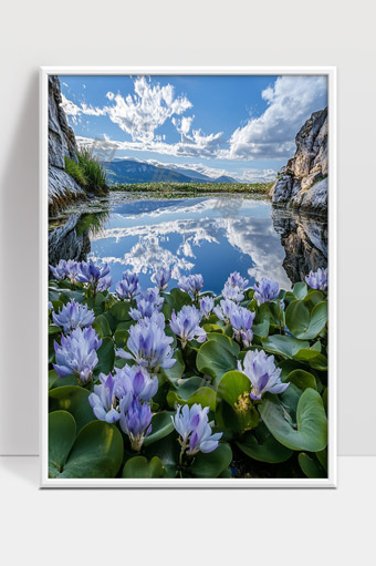 蓝天白云下清澈湖水与水生植物的宁静美景