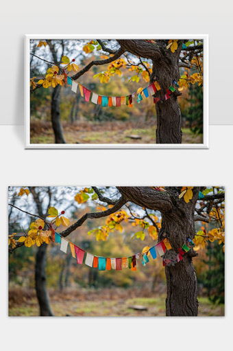 秋日树林中悬挂五彩经幡展现自然静谧美景