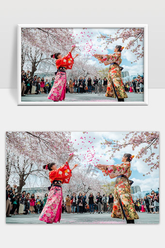 樱花树下穿着和服少女撒花瓣庆祝春日盛景