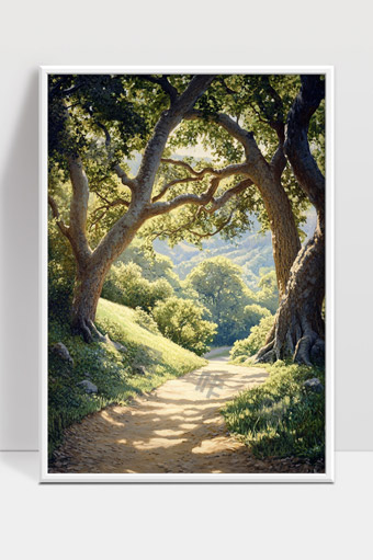 阳光下宁静森林小径与参天古树美景