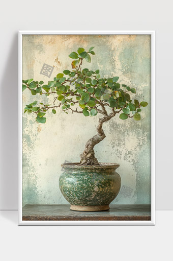 绿色盆栽树木古朴陶瓷花盆室内装饰艺术