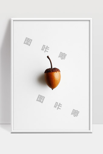 简约风格秋天橡果自然静物摄影展示