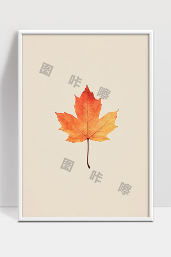 秋天枫叶孤独美丽细节特写自然静物摄影