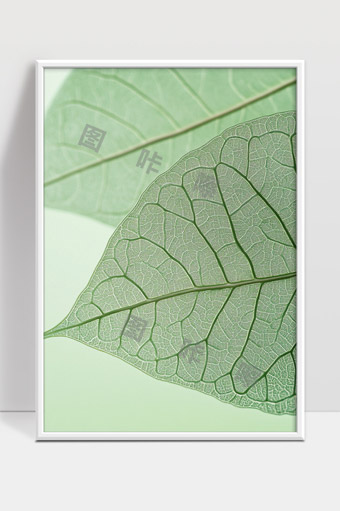 绿色叶脉特写清晰展示植物生命纹理结构美