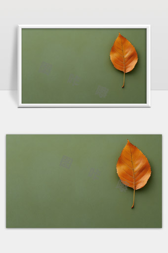 秋天橙色落叶静置绿色背景自然美景