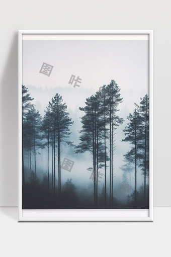 宁静晨雾中的松树林自然风景唯美意境