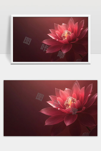 红色花朵绽放纯净优雅自然美丽意境