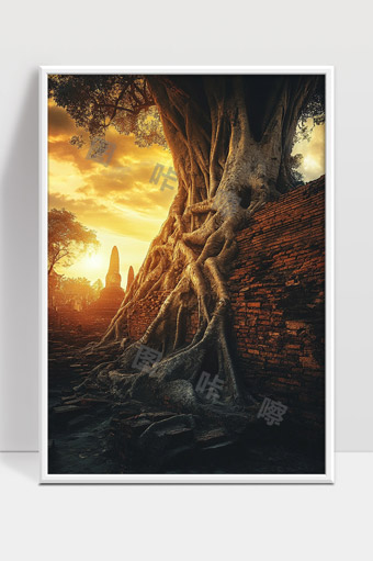 千年古树缠绕古墙暮色中的神秘遗迹
