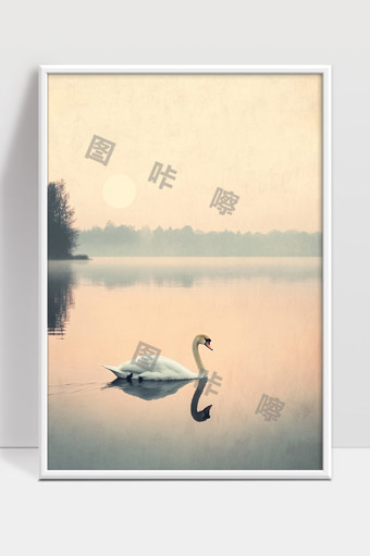 宁静湖面上优雅天鹅清晨倒影美景