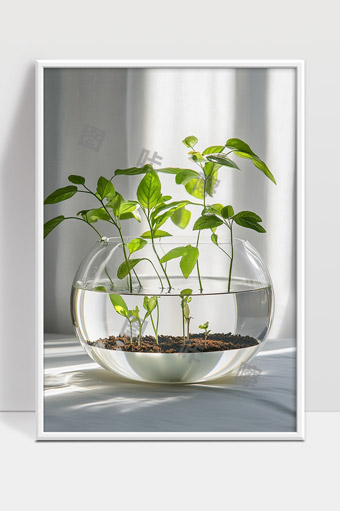透明玻璃瓶中绿植水培生长清新自然室内装饰