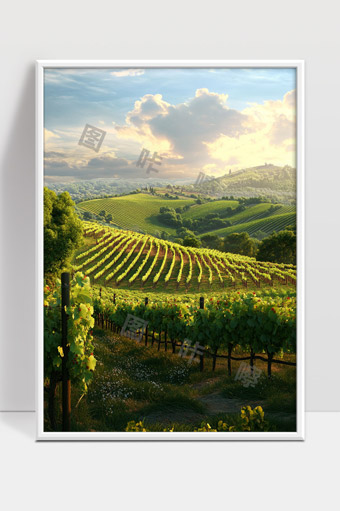 阳光洒落下的广袤葡萄园田野与远山风光