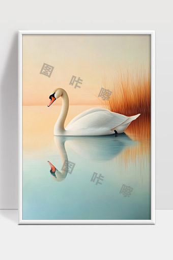 宁静湖面上的白天鹅优雅游动清晨美景