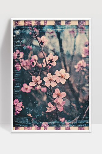 春天桃花绽放唯美自然风景写真