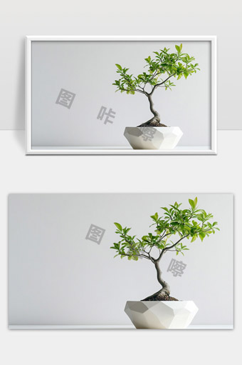简约现代风格桌面绿色盆栽树植物艺术盆景