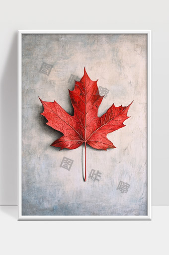 红色枫叶秋天自然风景静物美丽特写