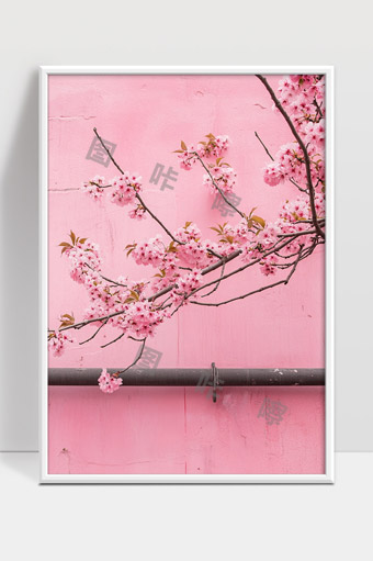 粉色背景下盛开绽放的樱花枝头美丽画面