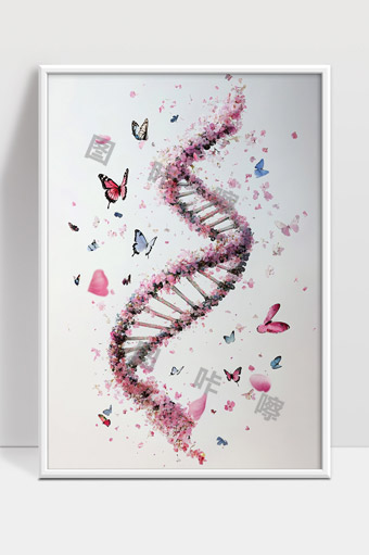 蝶影花语中的DNA双螺旋生命之美