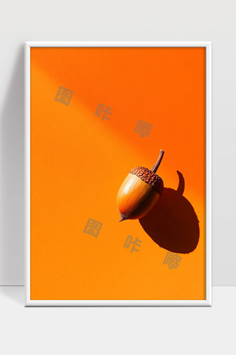 橡果与橙色背景光影自然静物摄影