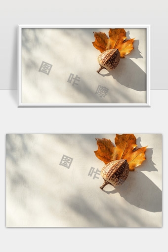 秋天落叶与橡果静谧自然光影美景