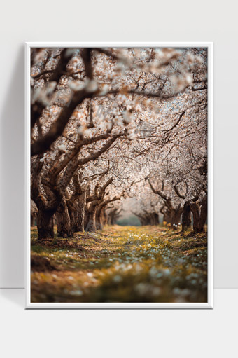 春日花海幽径樱花树下静谧自然风光