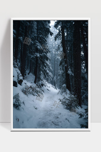 雪中林间小径静谧冬日森林自然风光