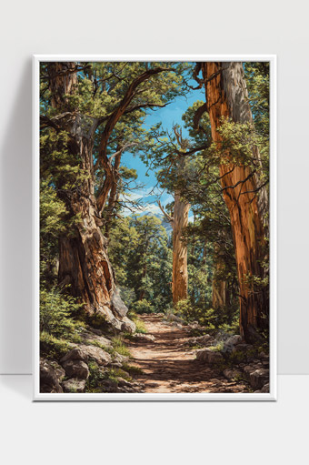 幽静森林小径蜿蜒穿行古老参天巨树间