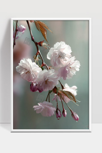 唯美樱花盛开枝头春天自然清新风景图