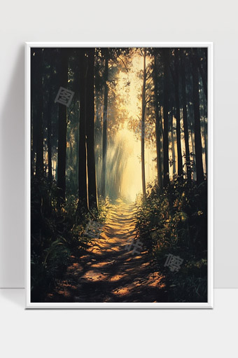 阳光穿透森林小径晨雾环绕自然宁静景色