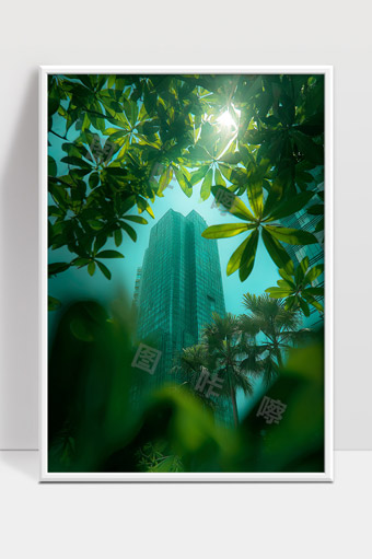 城市高楼绿叶阳光透射自然与现代共融景象