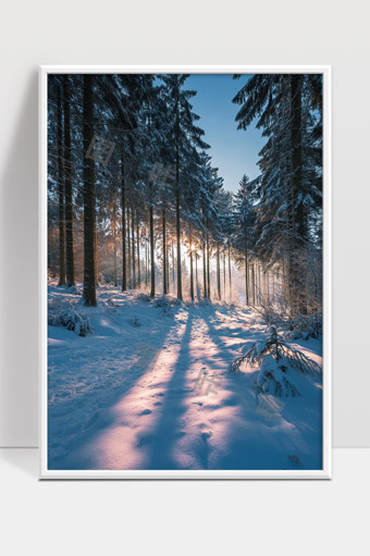 雪后冬日森林清晨阳光穿透树林洒满积雪