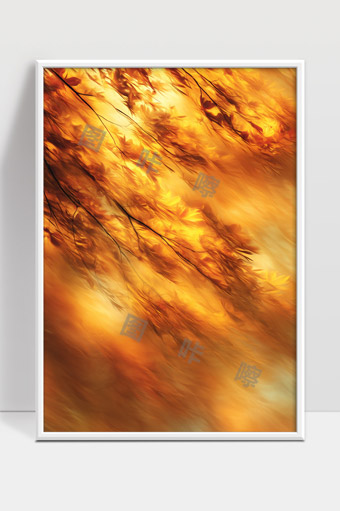 秋天枫叶飘落金黄季节自然风景美丽景致