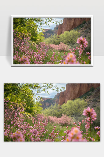 春天峡谷野花盛开自然风光美景