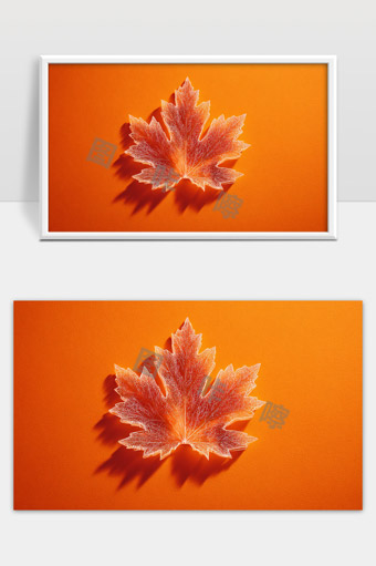 秋天枫叶的静美橙色背景特写摄影