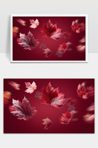 红叶飘落秋天季节变换美丽自然景象