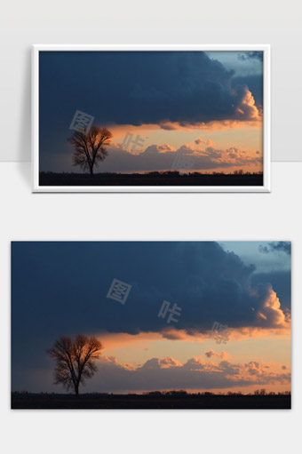 孤树迎晚霞天地广阔晚霞映照平原景色壮丽