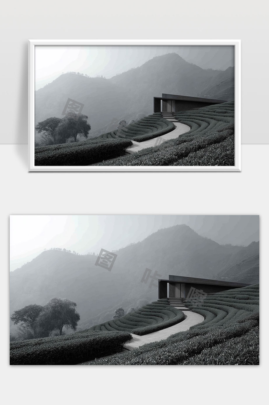 现代建筑融入茶园山丘自然景观宁静之美